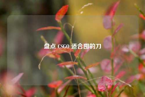 盘点 CSGO 适合囤的刀
