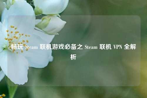 畅玩 Steam 联机游戏必备之 Steam 联机 VPN 全解析