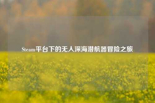 Steam平台下的无人深海潜航器冒险之旅