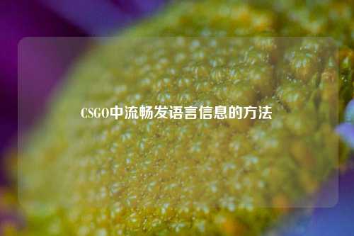 CSGO中流畅发语言信息的方法
