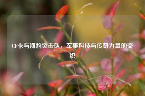CF卡与海豹突击队，军事科技与传奇力量的交织
