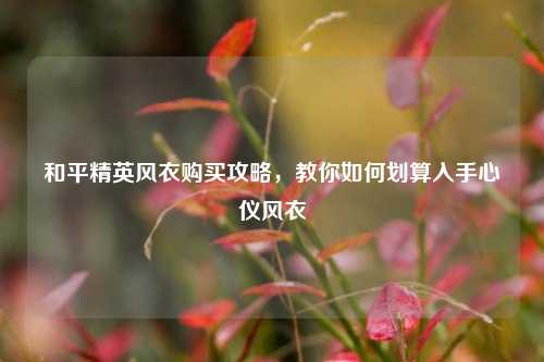 和平精英风衣购买攻略，教你如何划算入手心仪风衣