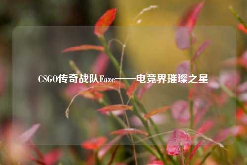 CSGO传奇战队Faze——电竞界璀璨之星