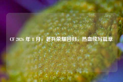 CF 2026 年 8 月，老兵荣耀回归，热血续写篇章