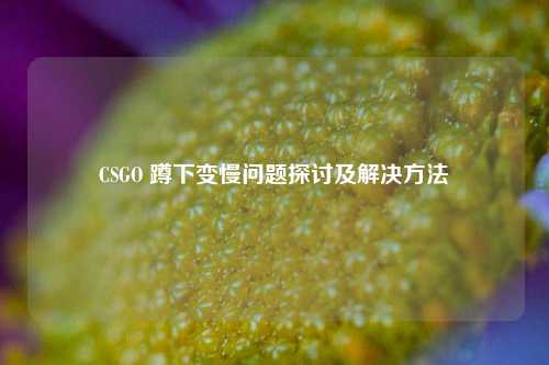 CSGO 蹲下变慢问题探讨及解决方法