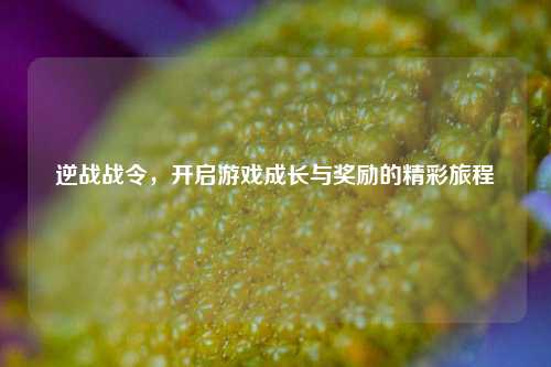 逆战战令，开启游戏成长与奖励的精彩旅程