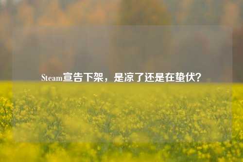 Steam宣告下架，是凉了还是在蛰伏？