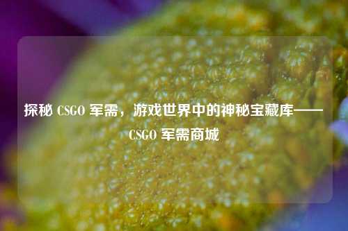 探秘 CSGO 军需，游戏世界中的神秘宝藏库——CSGO 军需商城