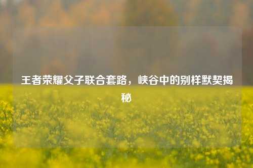 王者荣耀父子联合套路，峡谷中的别样默契揭秘