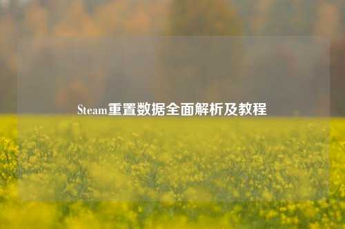 Steam重置数据全面解析及教程