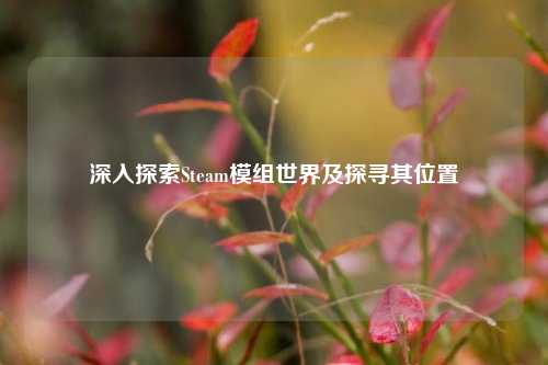 深入探索Steam模组世界及探寻其位置