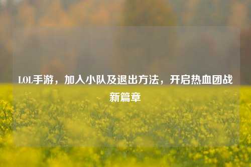 LOL手游，加入小队及退出方法，开启热血团战新篇章