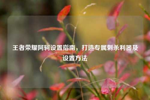 王者荣耀阿轲设置指南，打造专属刺杀利器及设置方法