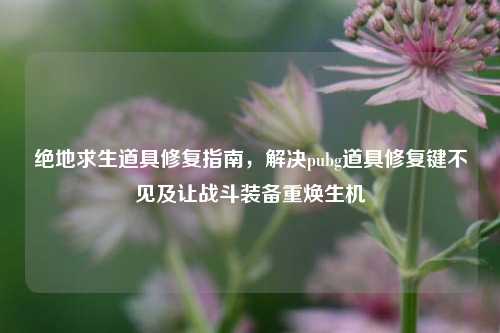 绝地求生道具修复指南，解决pubg道具修复键不见及让战斗装备重焕生机