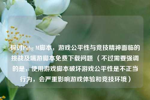 探讨Pubg M脚本，游戏公平性与竞技精神面临的挑战及端游脚本免费下载问题 （不过需要强调的是，使用游戏脚本破坏游戏公平性是不正当行为，会严重影响游戏体验和竞技环境）