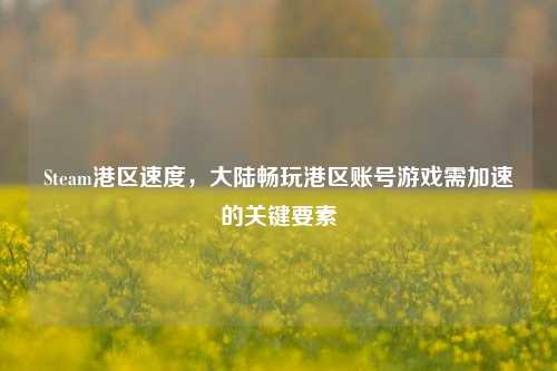 Steam港区速度，大陆畅玩港区账号游戏需加速的关键要素