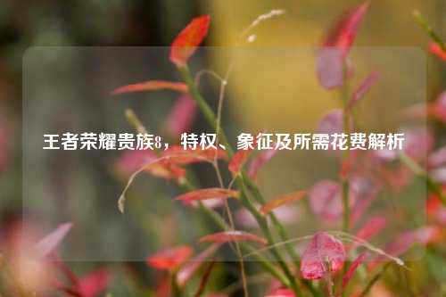 王者荣耀贵族8，特权、象征及所需花费解析