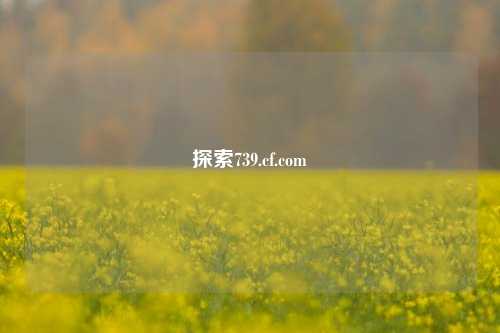 探索739.cf.com
