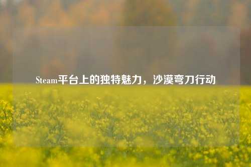 Steam平台上的独特魅力，沙漠弯刀行动