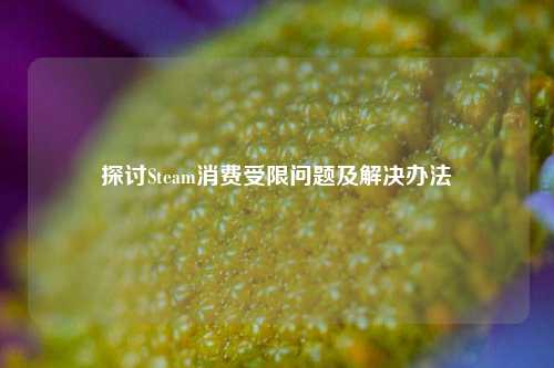 探讨Steam消费受限问题及解决办法