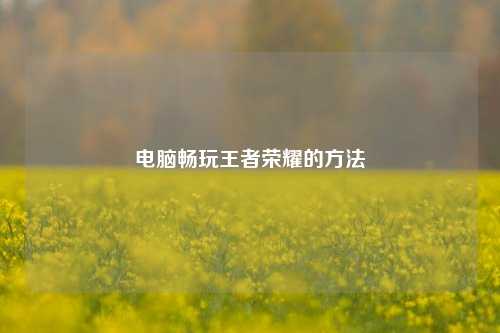 电脑畅玩王者荣耀的方法