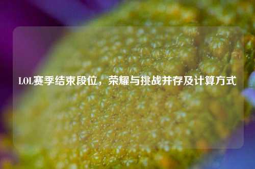 LOL赛季结束段位，荣耀与挑战并存及计算方式