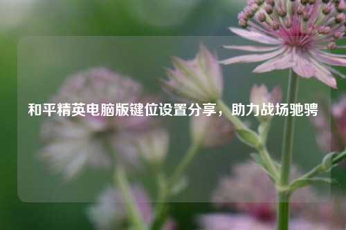 和平精英电脑版键位设置分享，助力战场驰骋