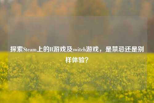探索Steam上的H游戏及switch游戏，是禁忌还是别样体验？
