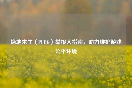 绝地求生（PUBG）举报人指南，助力维护游戏公平环境