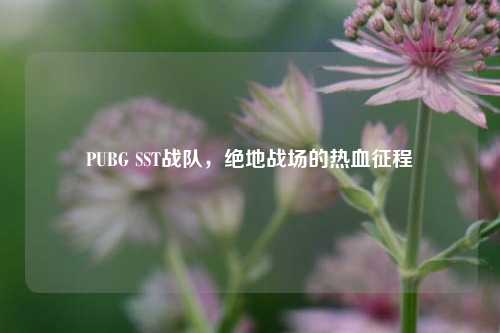 PUBG SST战队，绝地战场的热血征程