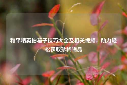 和平精英抽箱子技巧大全及相关视频，助力轻松获取珍稀物品