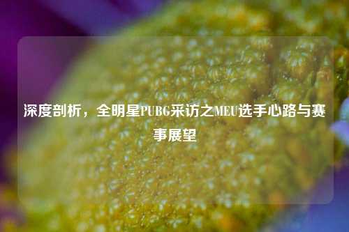 深度剖析，全明星PUBG采访之MEU选手心路与赛事展望