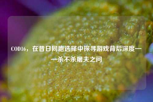 COD16，在昔日同胞选择中探寻游戏背后深度——杀不杀屠夫之问