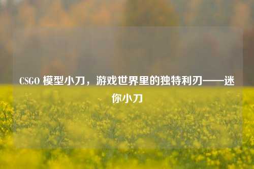 CSGO 模型小刀，游戏世界里的独特利刃——迷你小刀
