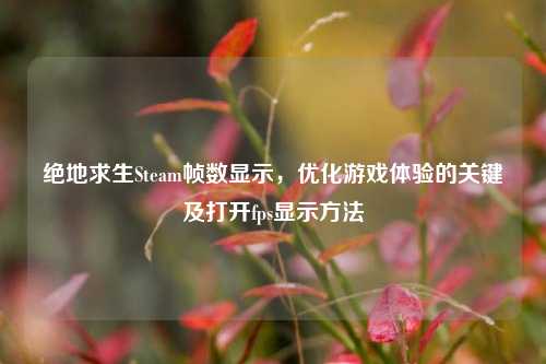绝地求生Steam帧数显示，优化游戏体验的关键及打开fps显示方法