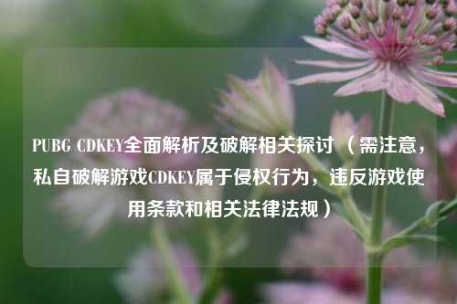 PUBG CDKEY全面解析及破解相关探讨 （需注意，私自破解游戏CDKEY属于侵权行为，违反游戏使用条款和相关法律法规）