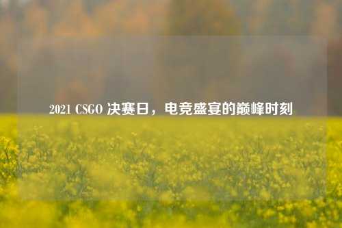 2021 CSGO 决赛日，电竞盛宴的巅峰时刻