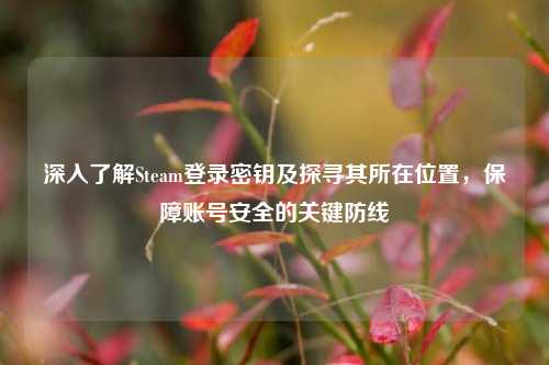 深入了解Steam登录密钥及探寻其所在位置，保障账号安全的关键防线