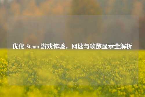 优化 Steam 游戏体验，网速与帧数显示全解析