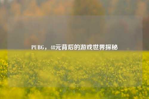 PUBG，48元背后的游戏世界探秘