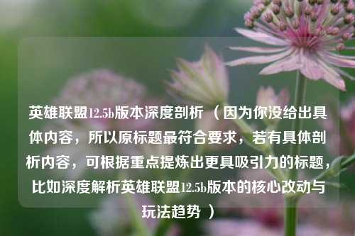 英雄联盟12.5b版本深度剖析 （因为你没给出具体内容，所以原标题最符合要求，若有具体剖析内容，可根据重点提炼出更具吸引力的标题，比如深度解析英雄联盟12.5b版本的核心改动与玩法趋势 ）