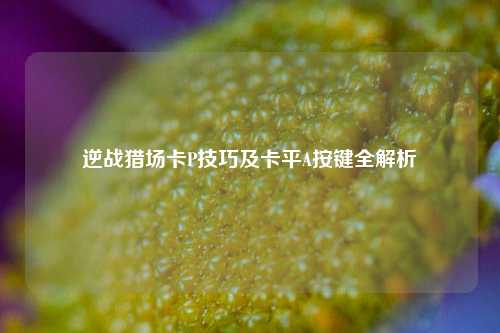 逆战猎场卡P技巧及卡平A按键全解析
