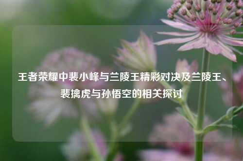 王者荣耀中裴小峰与兰陵王精彩对决及兰陵王、裴擒虎与孙悟空的相关探讨
