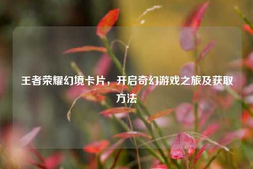 王者荣耀幻境卡片，开启奇幻游戏之旅及获取方法