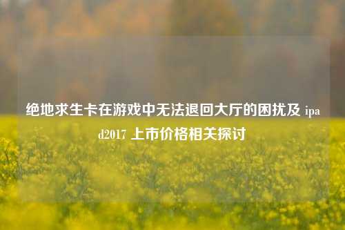 绝地求生卡在游戏中无法退回大厅的困扰及 ipad2017 上市价格相关探讨