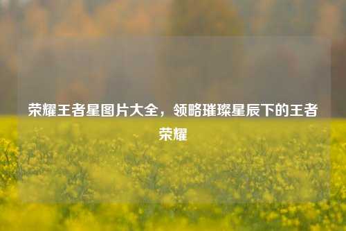 荣耀王者星图片大全，领略璀璨星辰下的王者荣耀