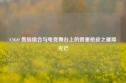CSGO 贵族组合与电竞舞台上的贵重枪皮之璀璨光芒