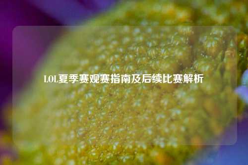 LOL夏季赛观赛指南及后续比赛解析