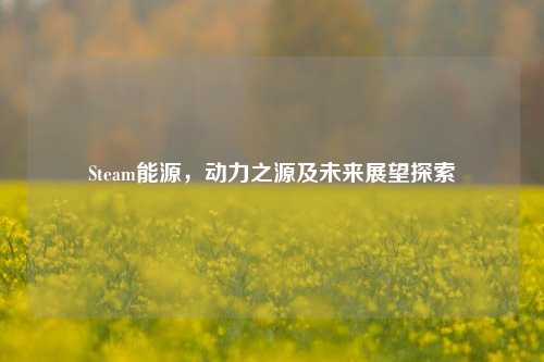 Steam能源，动力之源及未来展望探索