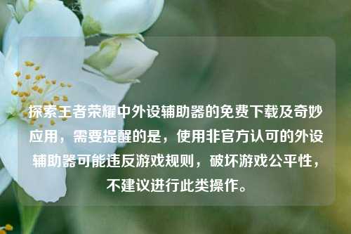 探索王者荣耀中外设辅助器的免费下载及奇妙应用，需要提醒的是，使用非官方认可的外设辅助器可能违反游戏规则，破坏游戏公平性，不建议进行此类操作。